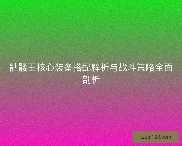 骷髅王核心装备搭配解析与战斗策略全面剖析