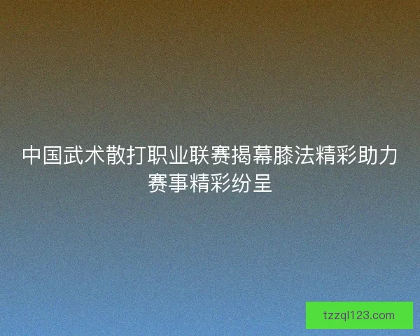 中国武术散打职业联赛揭幕膝法精彩助力赛事精彩纷呈